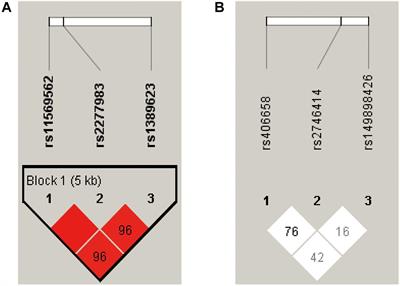 Associations Between Genotype and Peripheral Complement Proteins in First-Episode Psychosis: Evidences From C3 and C4